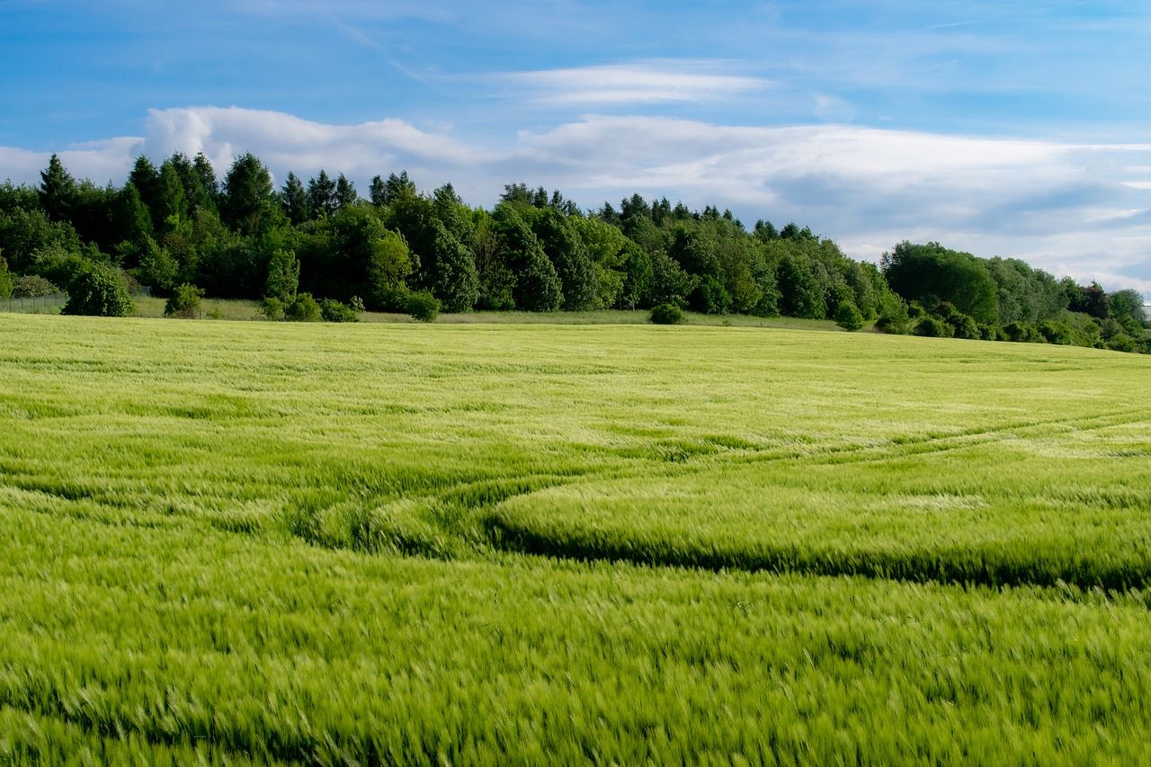 Od karmników do pastuchów - esencjonalne wyposażenie każdego hodowcy