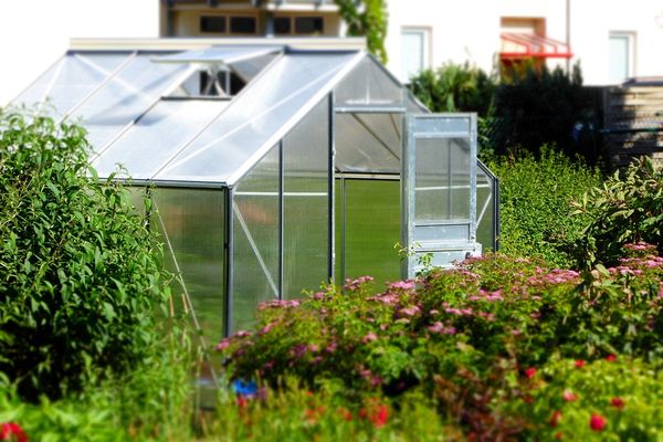 Jak zaplanować przestrzeń w ogrodzie z wykorzystaniem nowoczesnych rozwiązań?